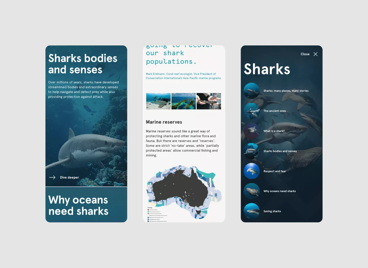 Overview of the Australian Museum Sharks Digital Publication - Mobile version