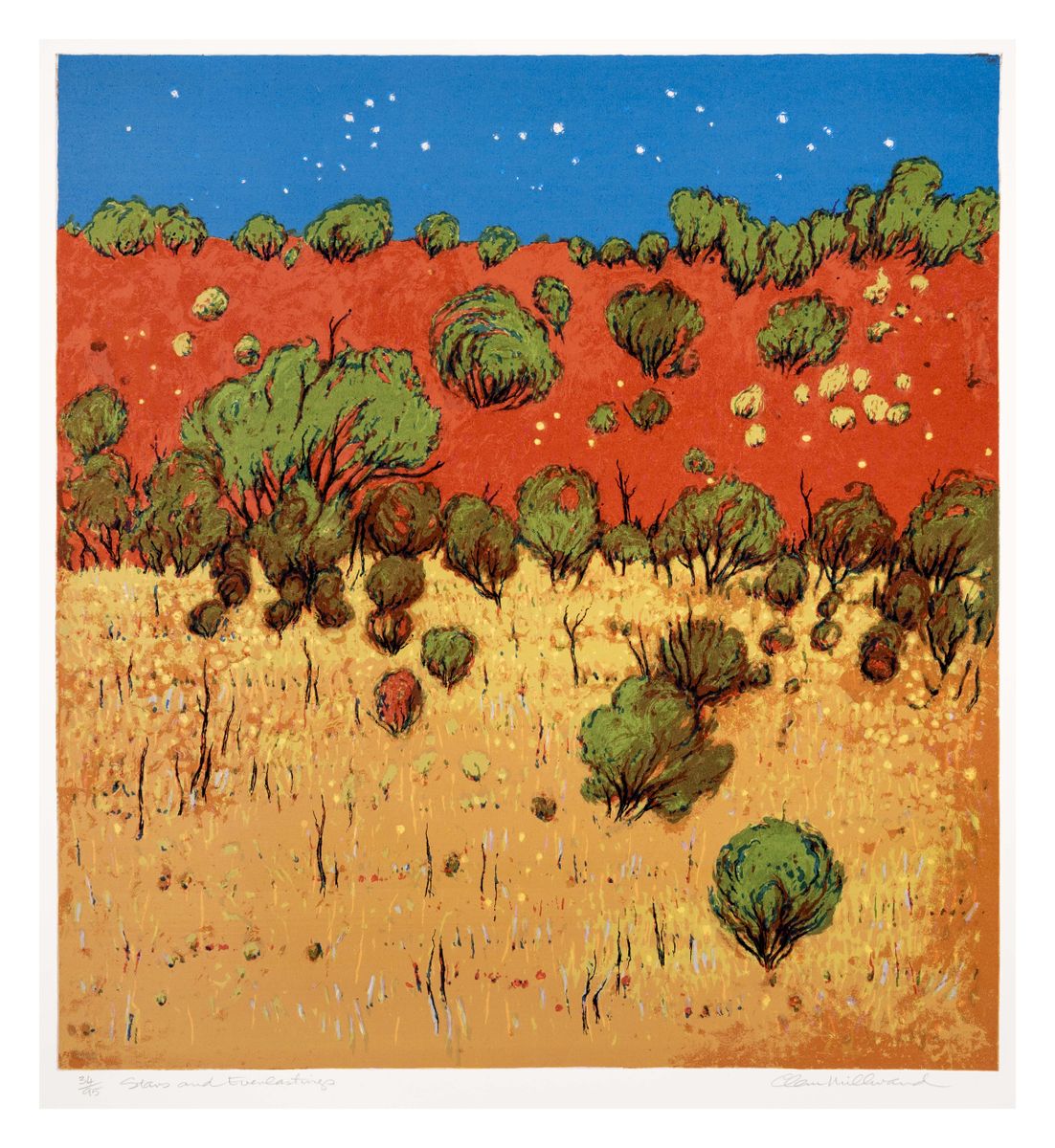 Image of Stars and everlastings