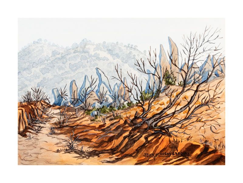 Image of In the Living Desert