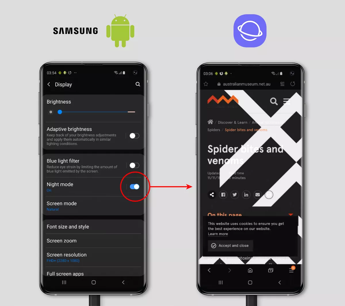 Screenshot of a Samsung Galaxy in Night Mode with the Australian Museum website in Samsung Internet Browser