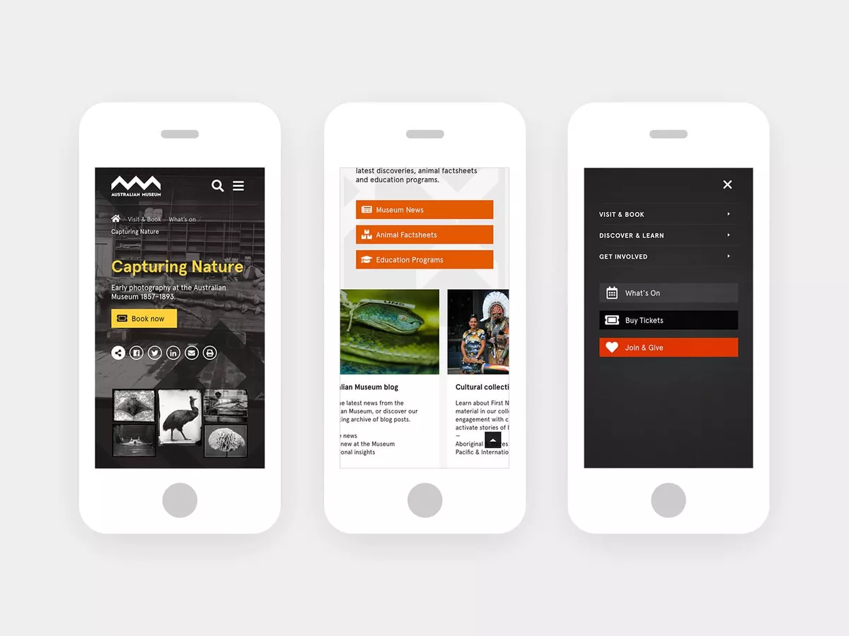 Mobile screenshots of the Australian Museum Website