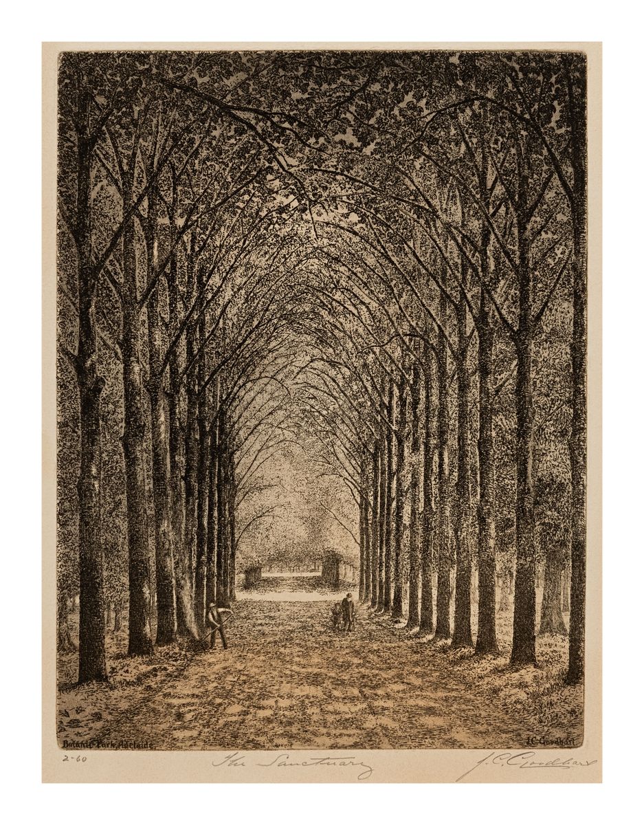Image of Botanic Park, Adelaide