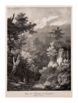 Image of Vue Du Chateau De Pierrefond