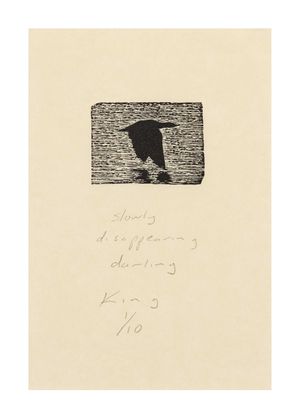 Image of slowly disappearing darling