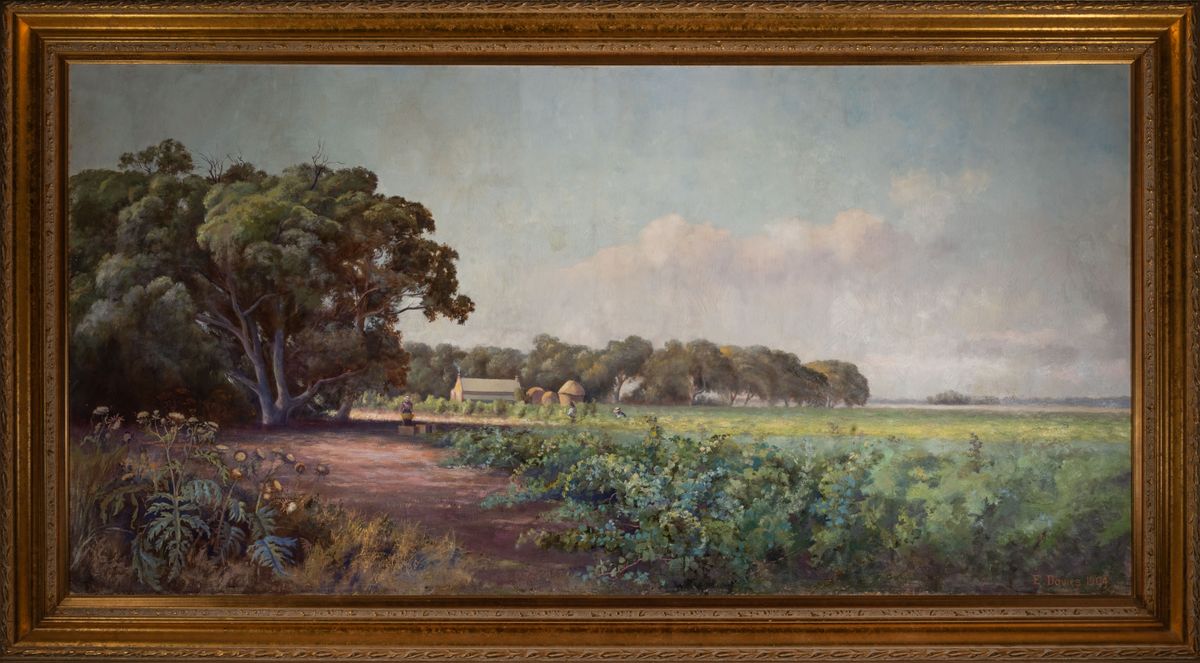 Image of Grape picking