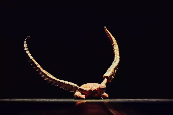 A still from Figures in Extinction [1.0] showing a performer on stage with two giant horns covering their arms