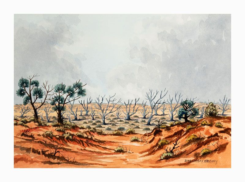 Image of Paroo country