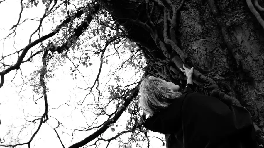 black and white photo of a woman looking up at a large tree trunk