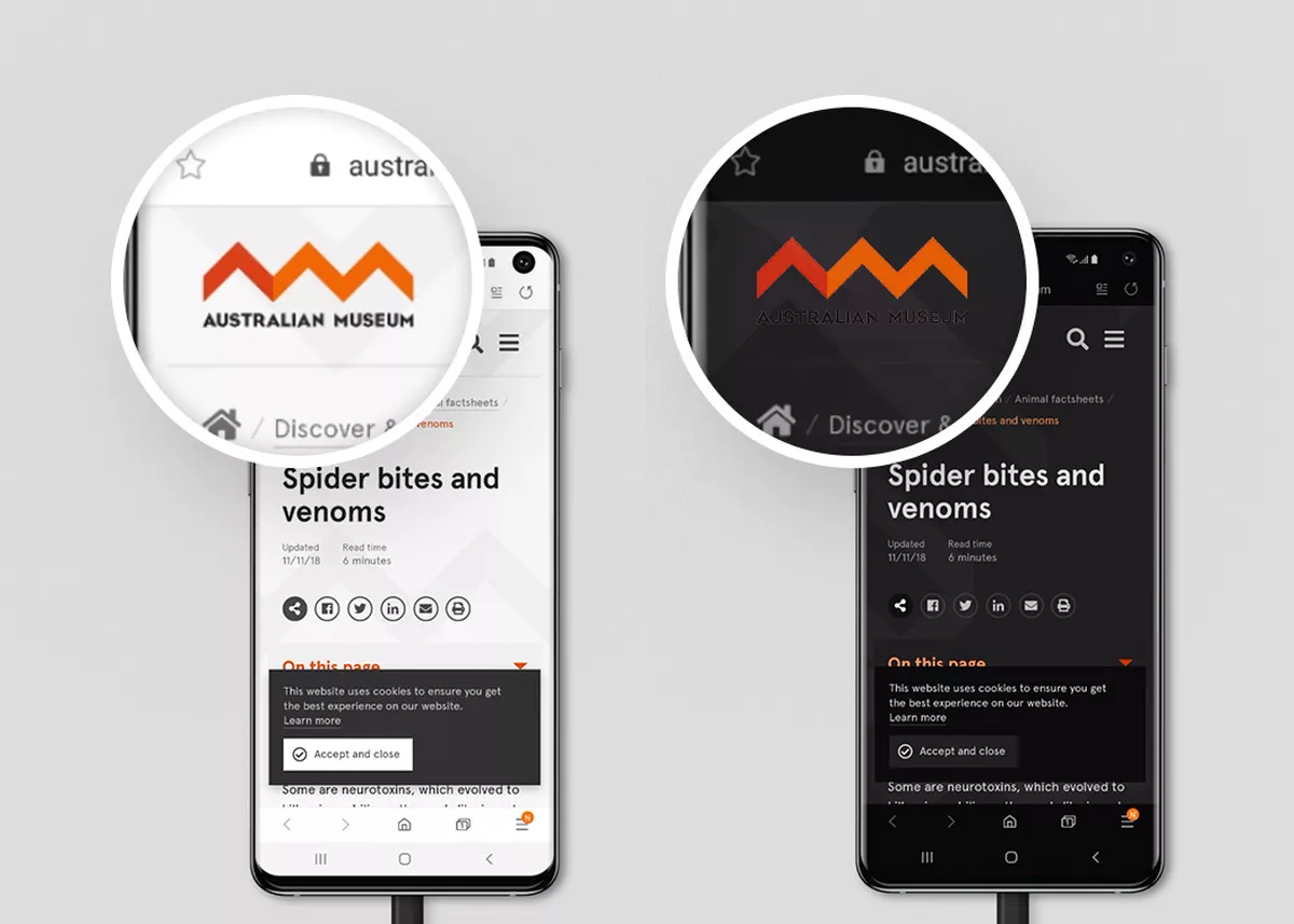 Screenshots with a close up of the Australian Museum logo