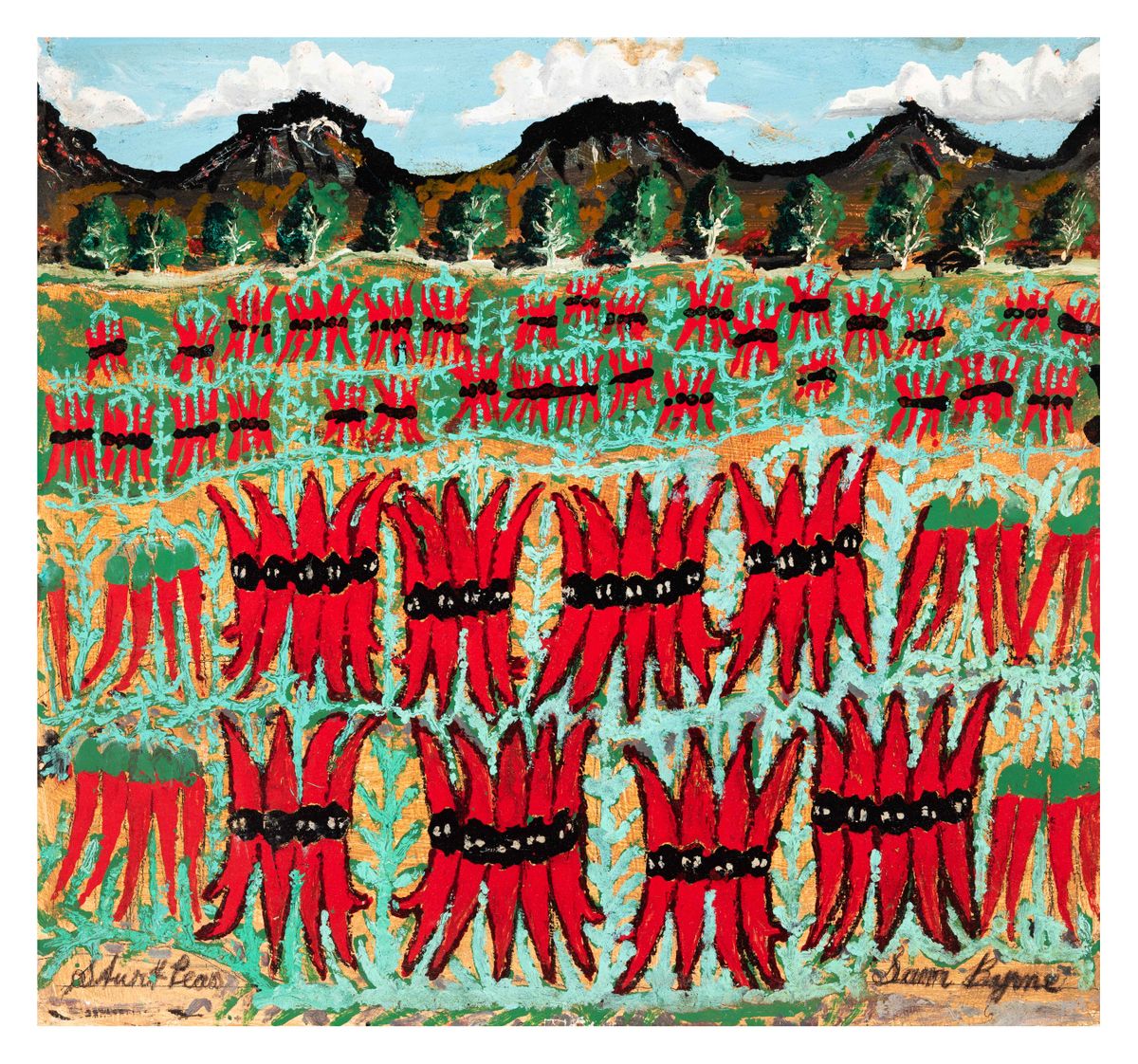 Image of Sturt peas