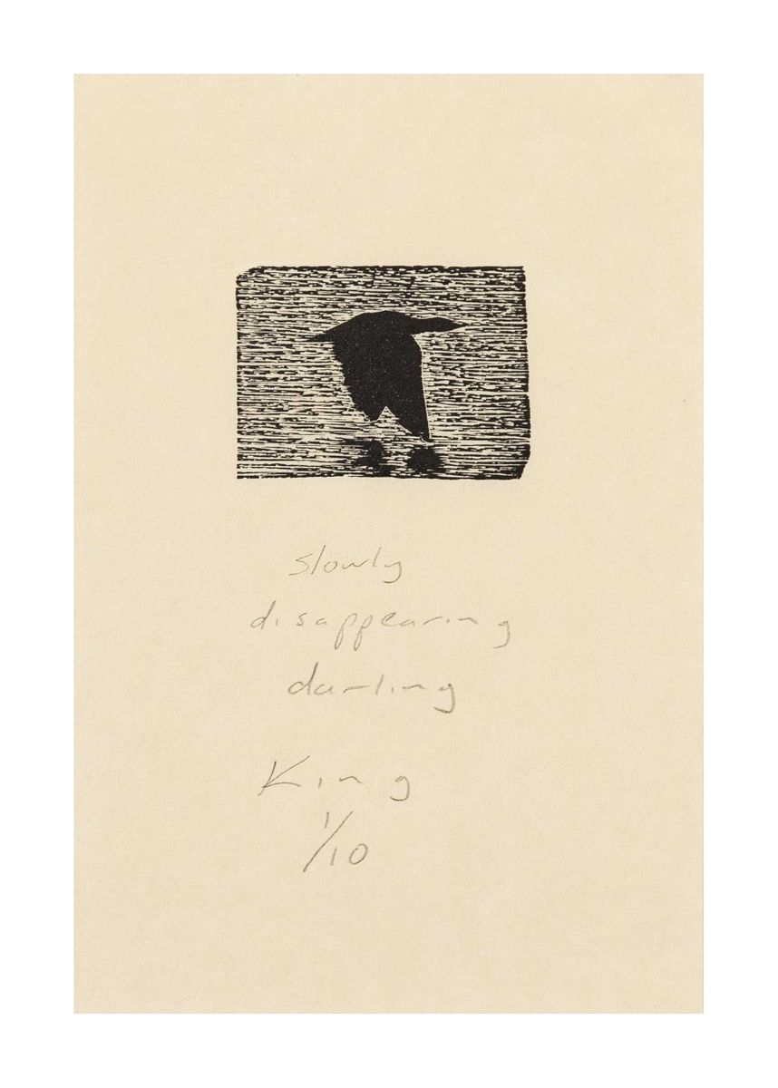 Image of slowly disappearing darling