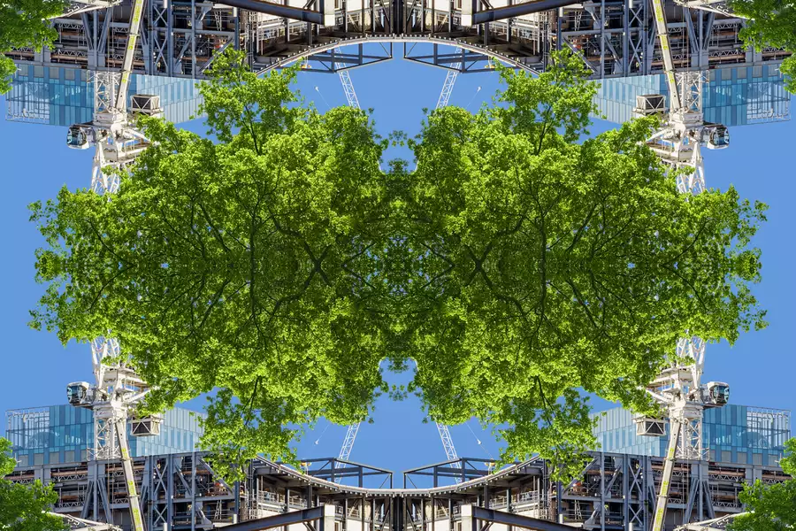 Image of The Factory construction and a tree, reflected along multiple lines and axes.