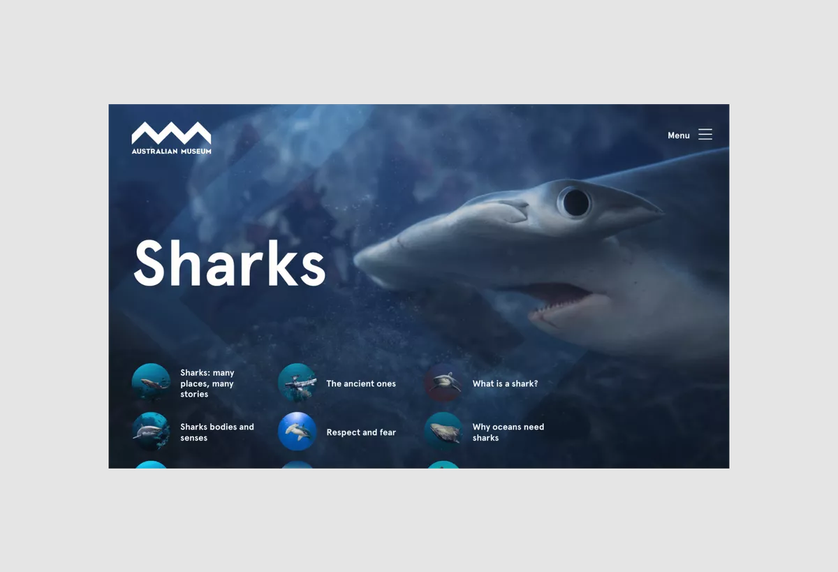 Screenshot of the Australian Museum Sharks Digital Publication - desktop version
