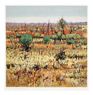 Image of Mulga country