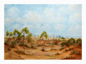 Image of On the Mundi Mundi plains