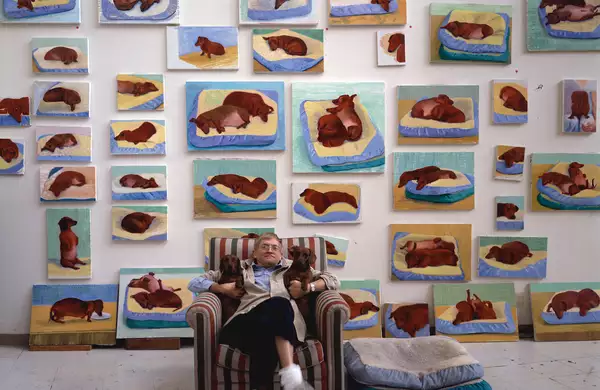 David Hockney sat on a striped arm chair with his two dogs. The wall behind him is filled with his paintings of the dogs.