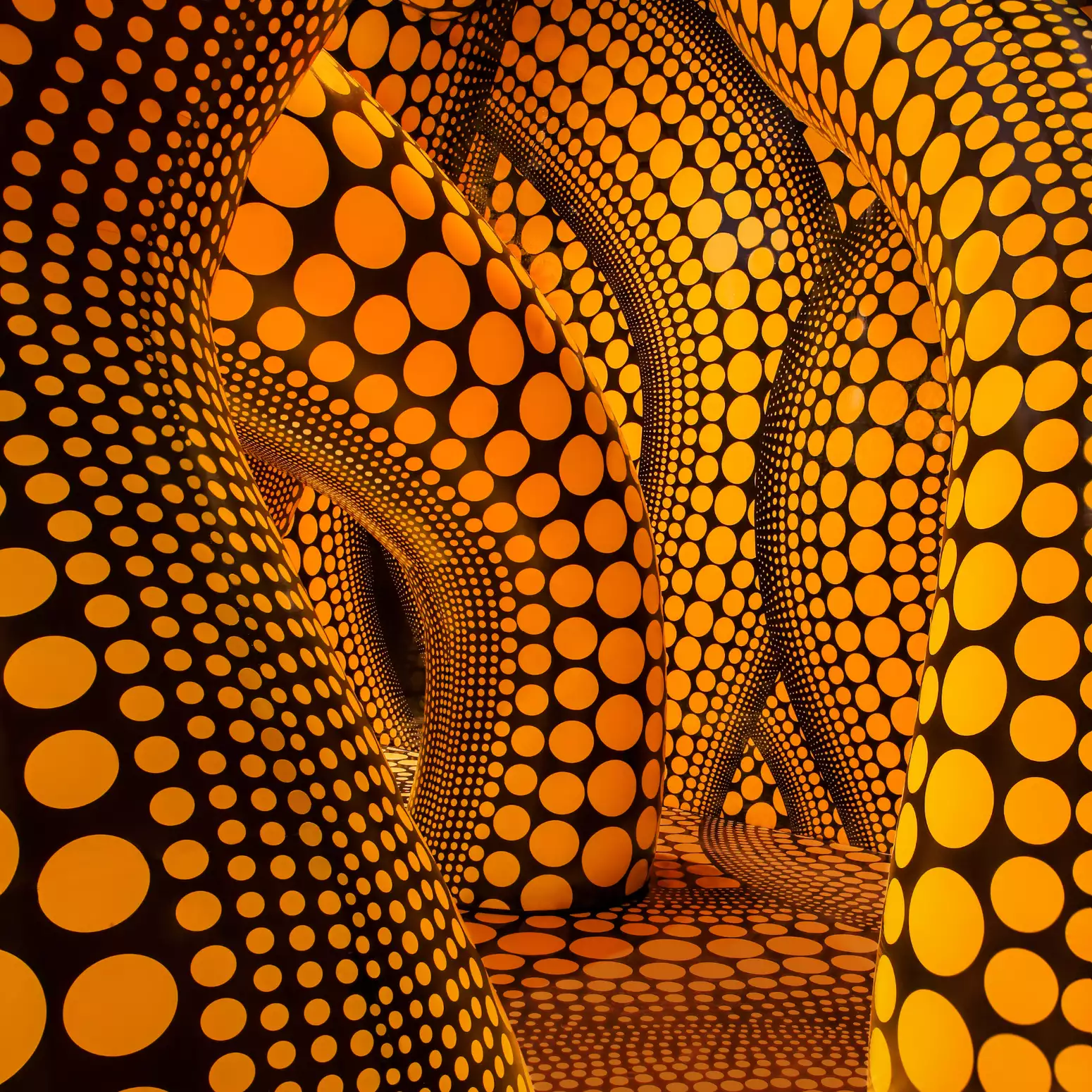 Orange and black covered tentacles