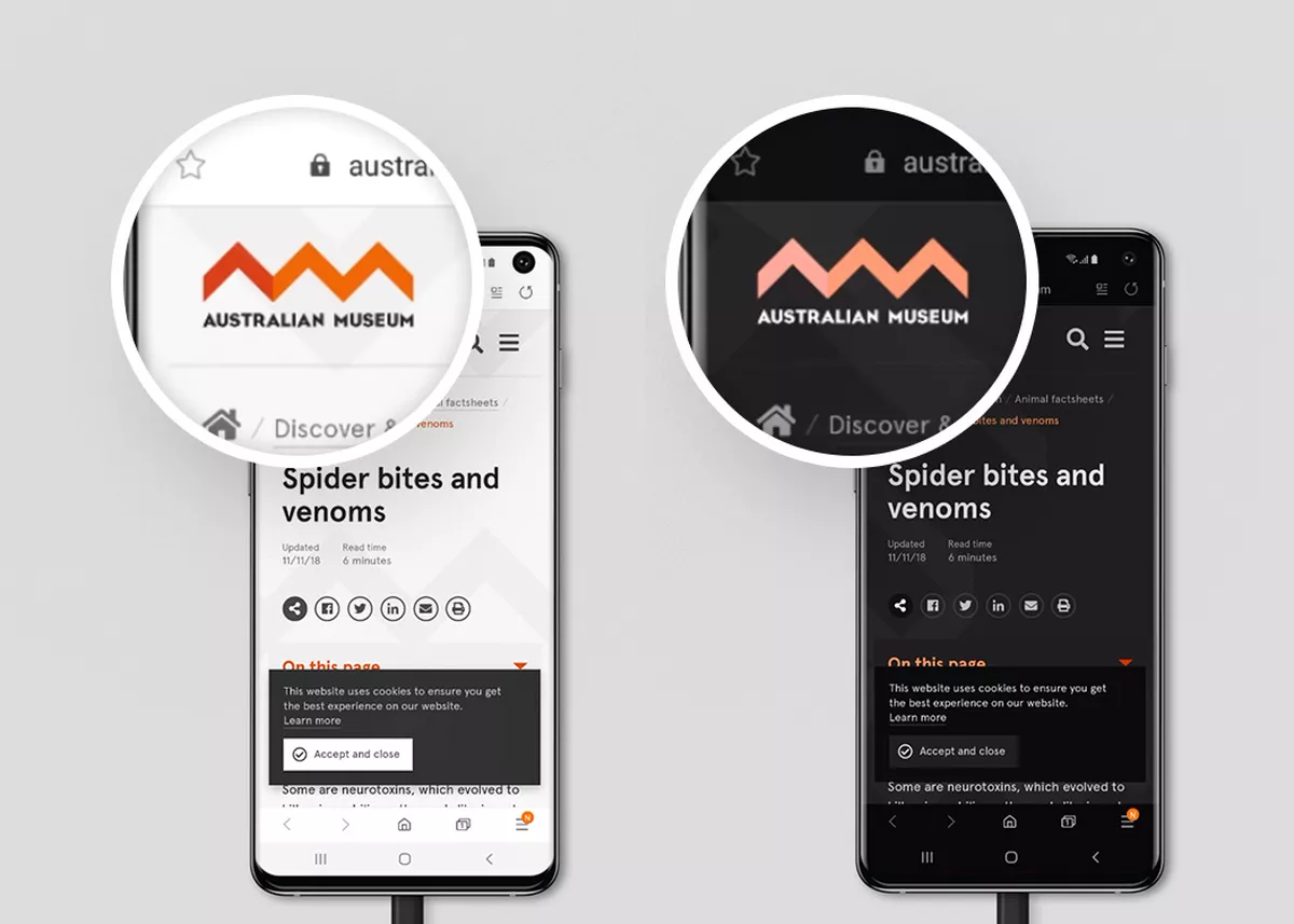 Samsung Galaxy with close up of the Australian Museum logo as an SVG