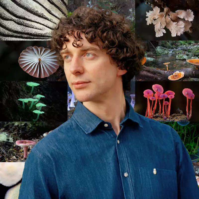 Merlin Sheldrake surrounded by various images of fungi and mushrooms. The mushrooms display a wide range of colours, shapes, and textures.