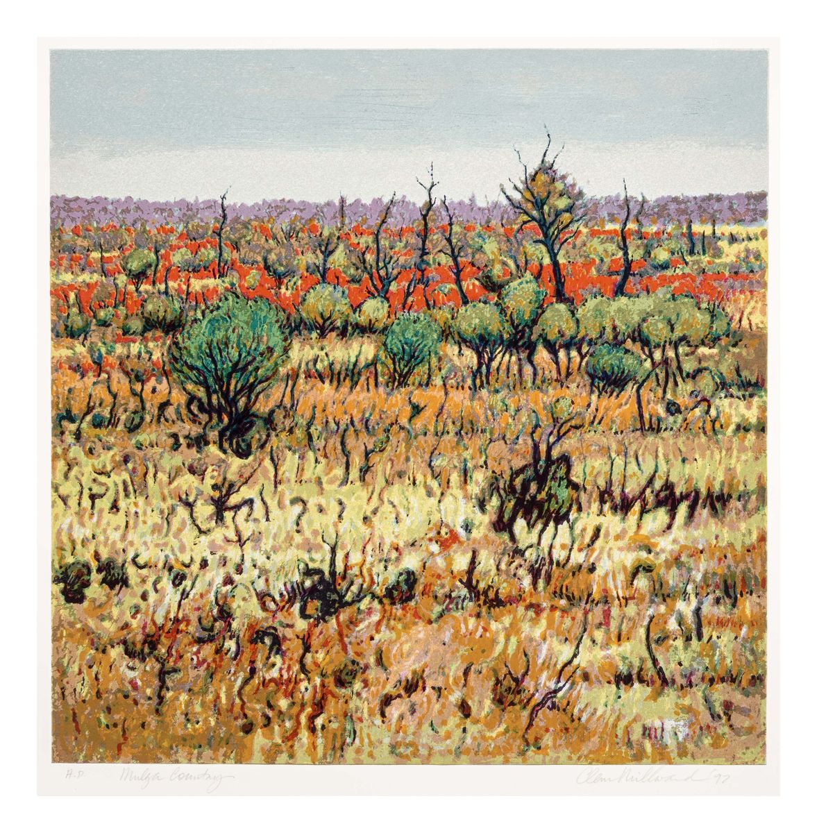 Image of Mulga country