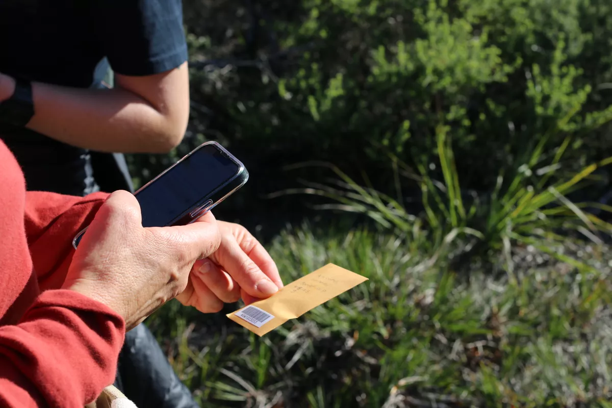 Close up of someone holding a smartphone and a small envelope