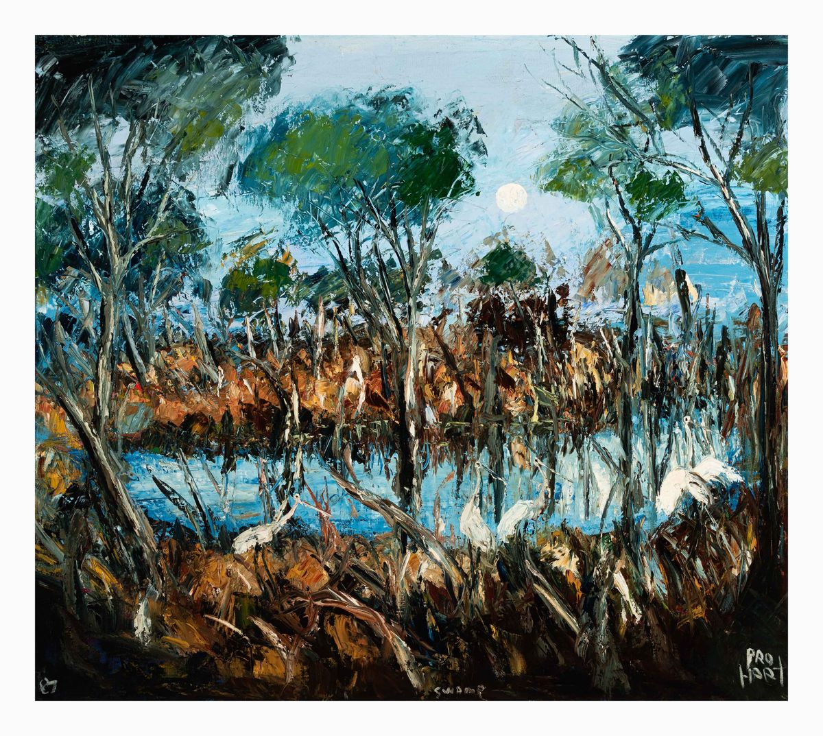 Image of Swamp