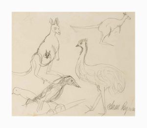 Image of Australian animals