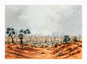 Image of Paroo country