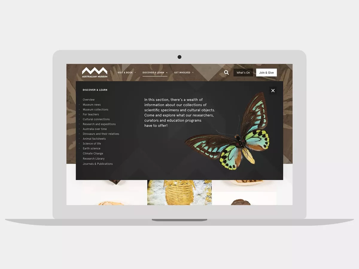 Laptop screenshot of the Australian Museum Website