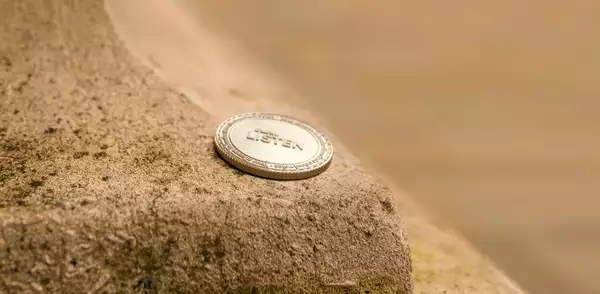 A coin from Ryan Gander's 'The Find' placed on a stone wall