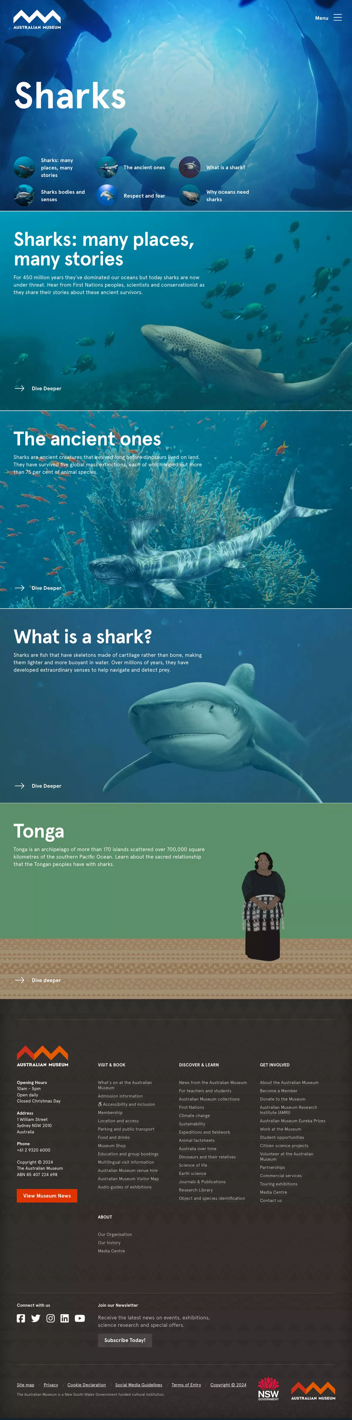 Screenshot of Sharks online publication