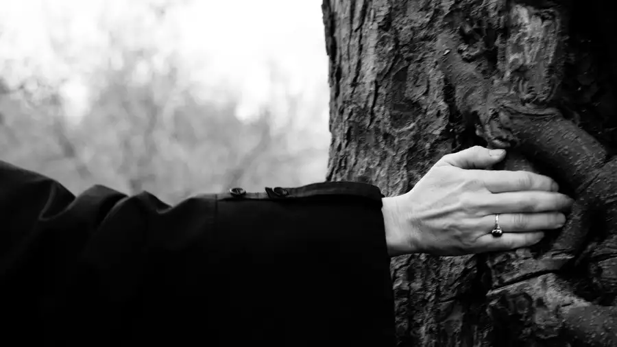 Black and white photo of a hand cupping a tree trunk