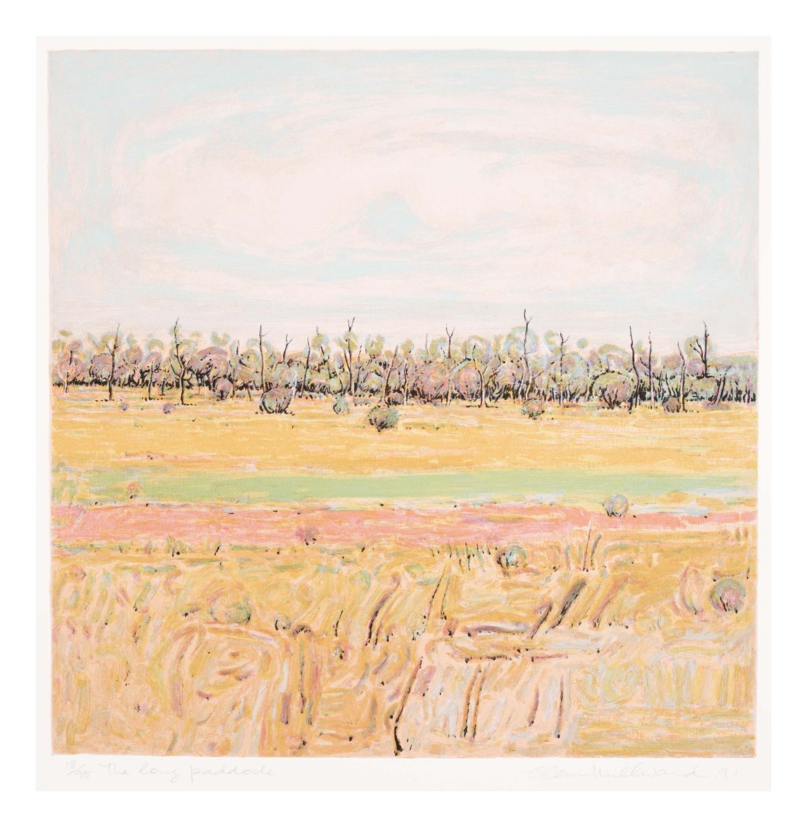 Image of The long paddock