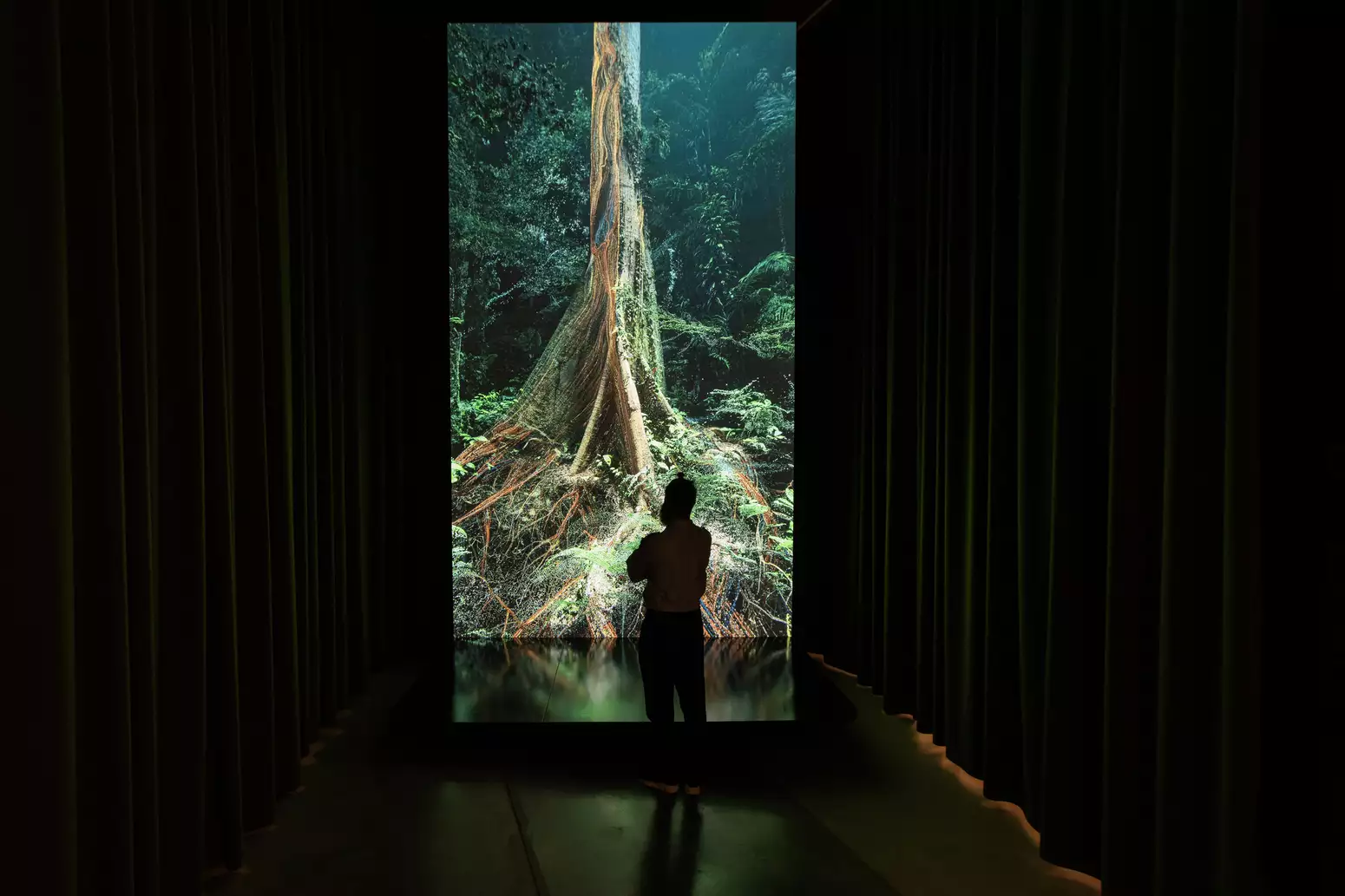 A single spectator looking at a large vertical screen with a digital artwork of a tree trunk