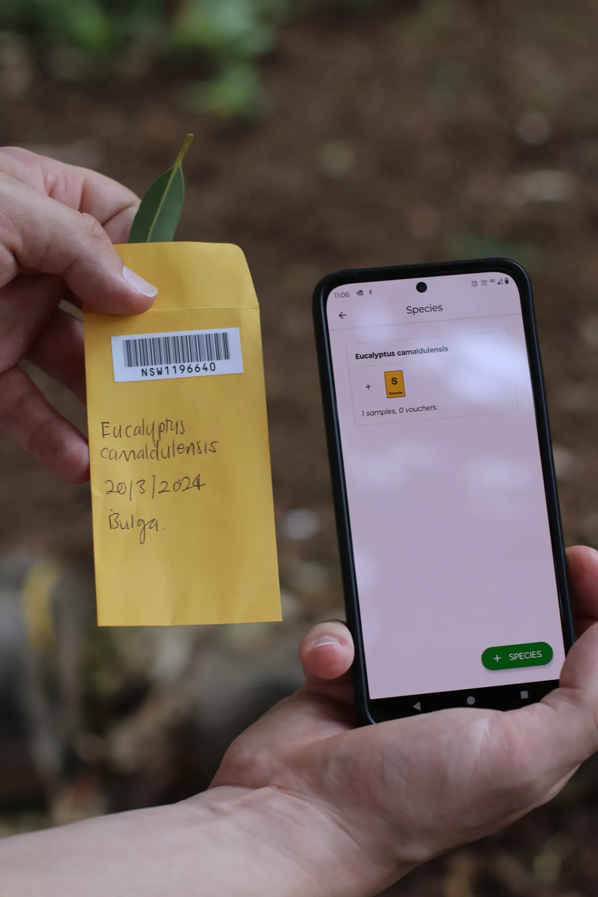 Screenshot of the ReCER App next to a small envelope containing a plant sample