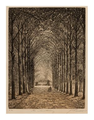 Image of Botanic Park, Adelaide