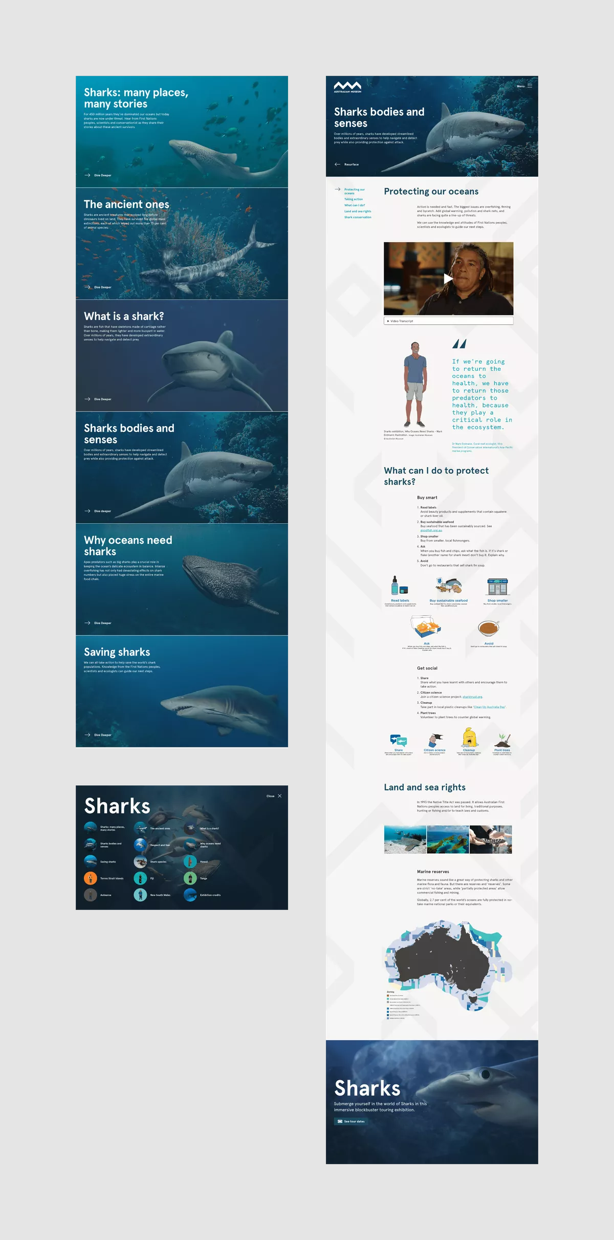 Overview of the Australian Museum Sharks Digital Publication - Desktop version