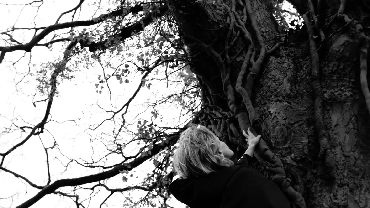 black and white photo of a woman looking up at a large tree trunk