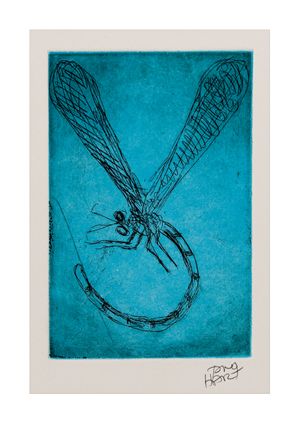 Image of Dragonfly