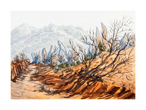 Image of In the Living Desert