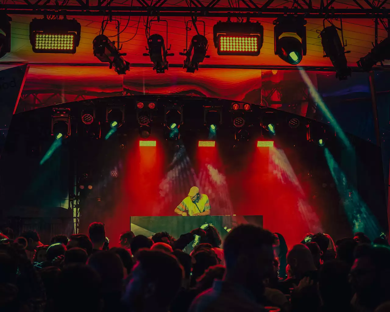 Photograph of Homoelectric party with a DJ and crowd