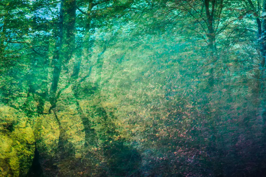 Photograph of forest trees with chromatic aberration, distorting the image and making it appear dreamlike