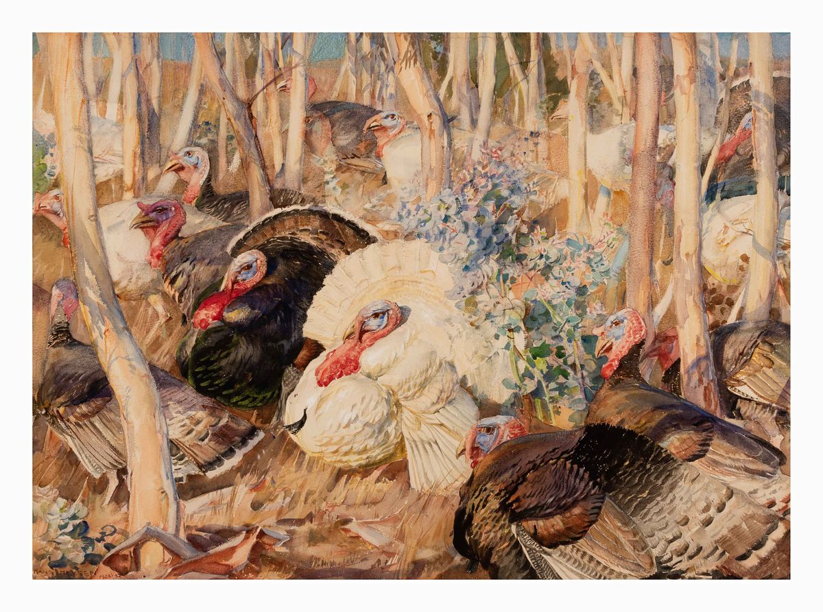 Image of Amongst the saplings