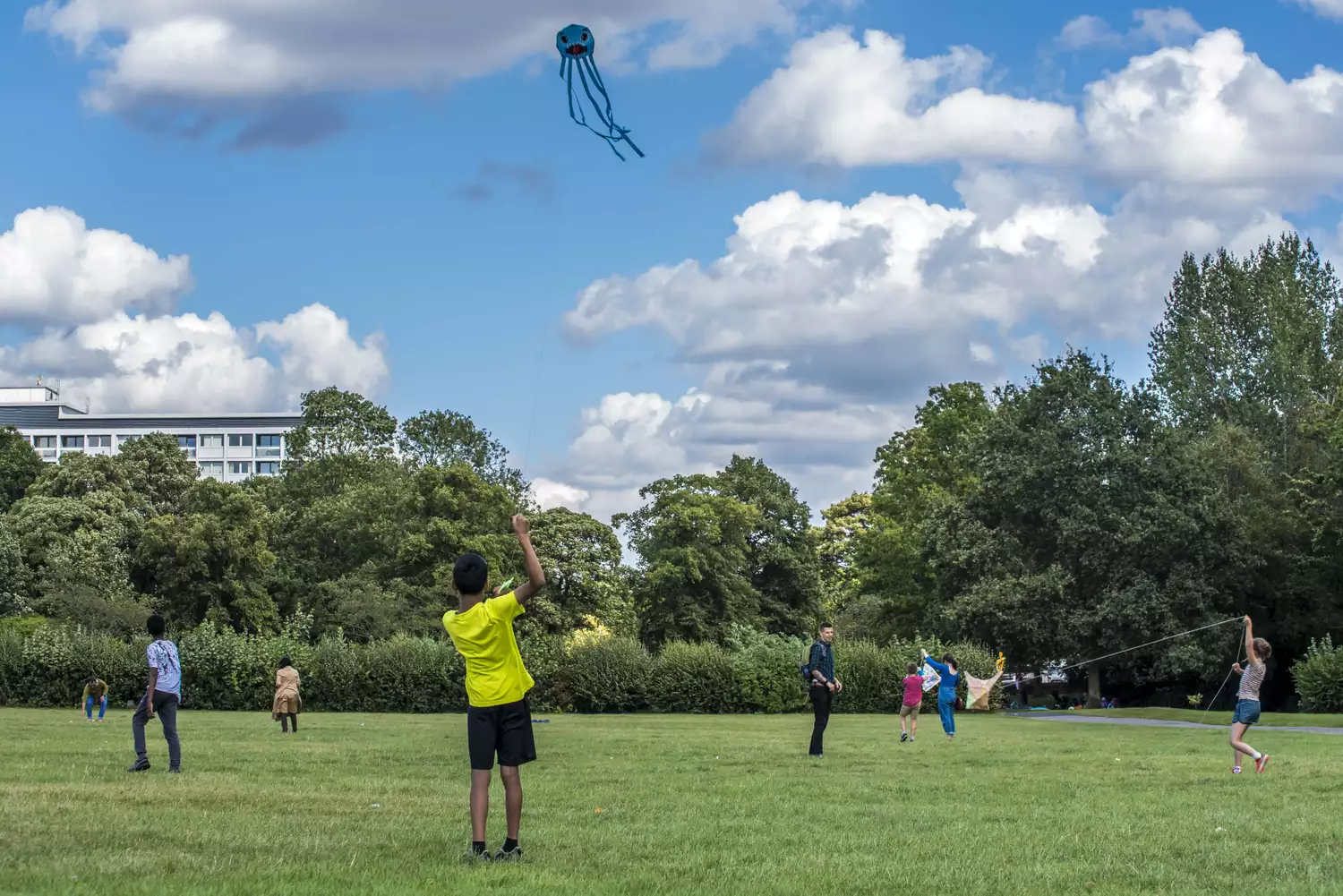 A boy in a green t-shirt with his back to the camera flies a kite in a park. The sky is blue with some clouds and in the background other people are looking up at the kite.